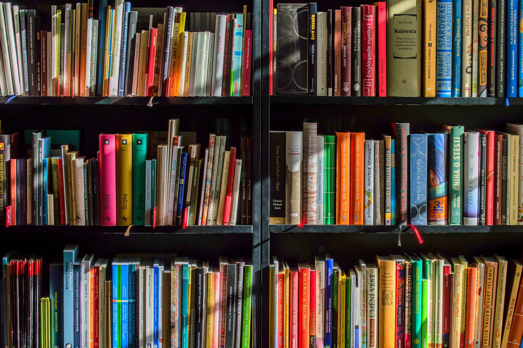 Boekrak met boeke in verskeie tale